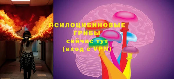 ПСИЛОЦИБИНОВЫЕ ГРИБЫ Навашино