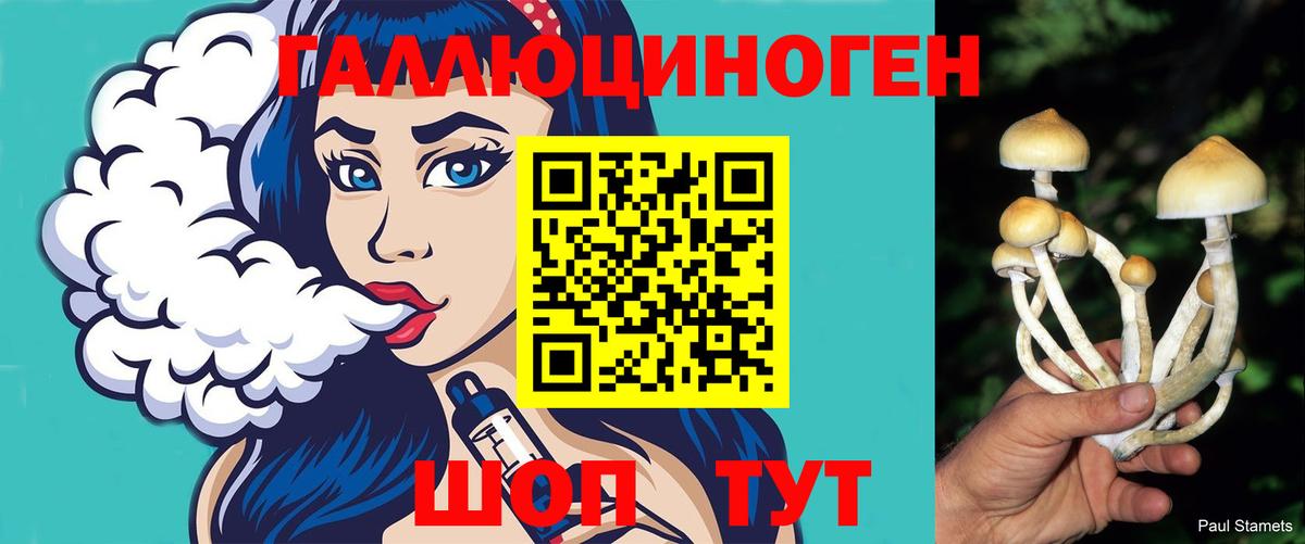 сколько стоит  Псилоцибиновые грибы Psilocybe  Вход с VPN  Балашиха  Галлюциногенные грибы мухоморы 